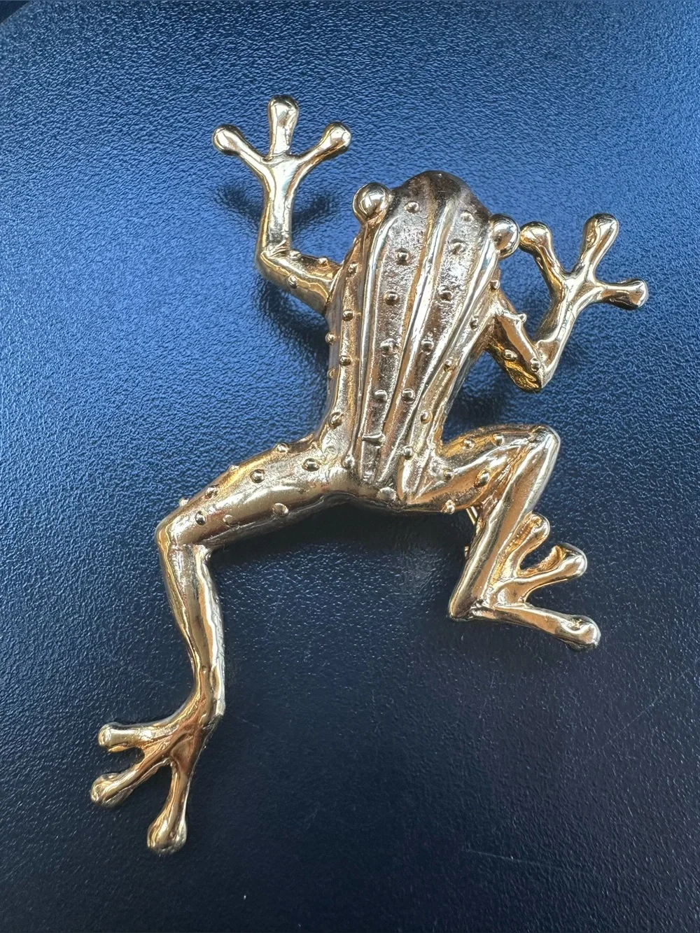 Vintage MIMI DI N 1985 Animalier collection Pendant Frog Brooch